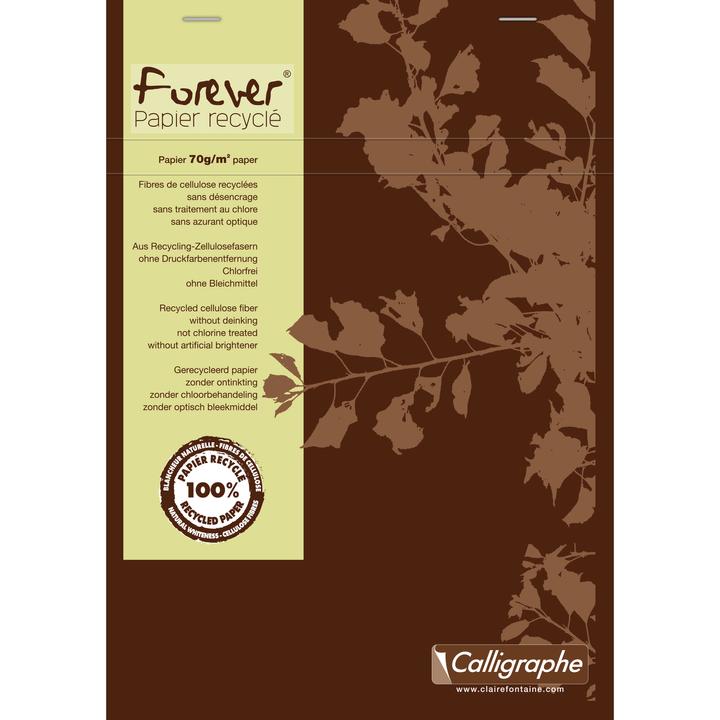 Actual product image Calligaphe Forever papier recyclé (A5, Checked, Hardcover)