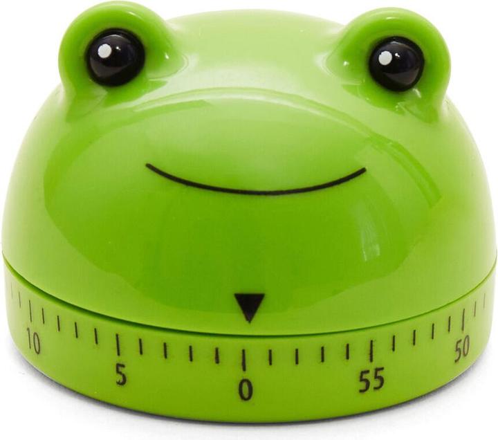 Actual product image Kikkerland Frog