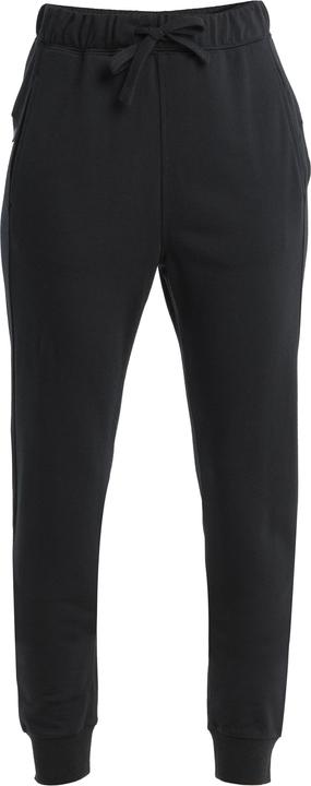 Icebreaker Women's Crush II Pants (XL)