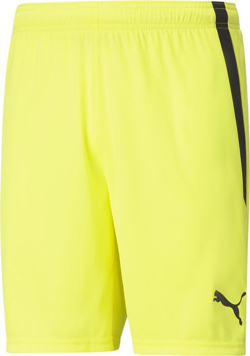 Actual product image Puma teamLIGA Shorts-704924 (L)