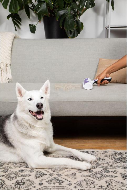 Immagine prodotto Black & Decker Rimuovi peli di animali domestici (Cane, Gatto)