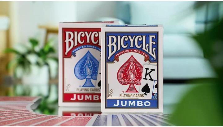 Actual product image Bicycle Rider Back International Jumbo (German)