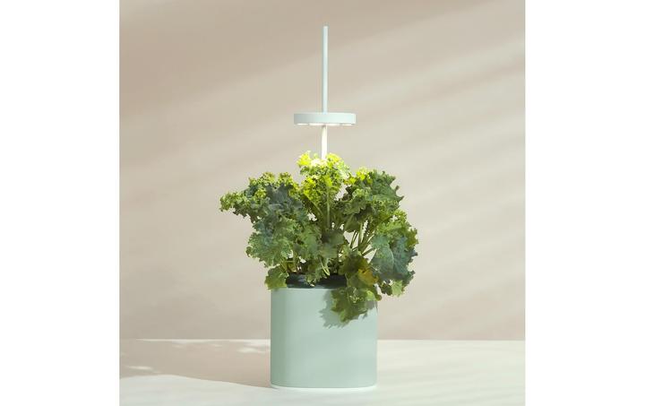 Actual product image Prêt à Pousser Herb Pot Nano, Celadon Green (13.50 cm)