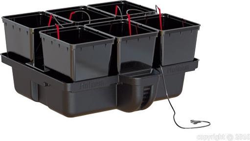 Actual product image Platinium Plants Hydro Pro 80