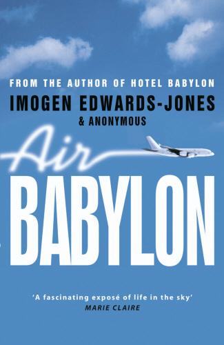 Produktbild Air Babylon (Imogen Edwards-Jones, Englisch)
