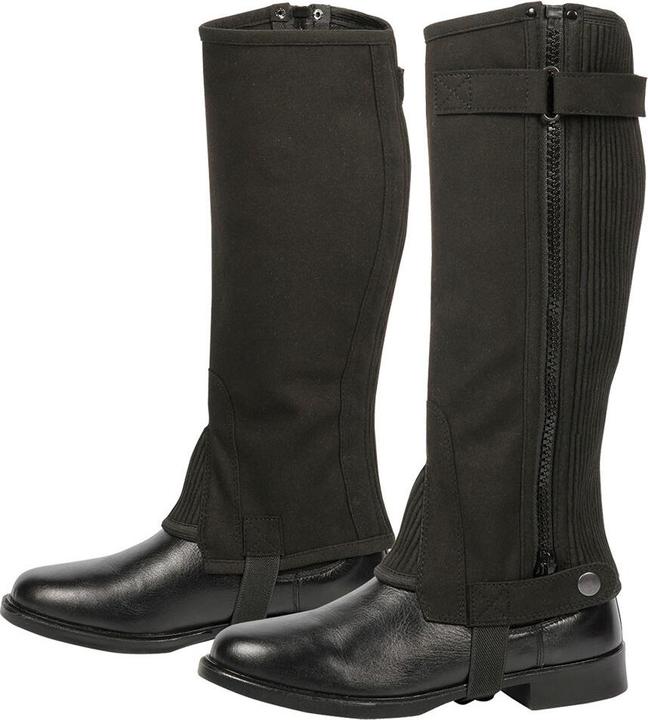 Produktbild Harry's Horse mini-chaps court und breite amara (L)