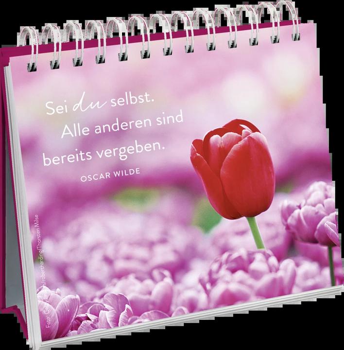 Image du produit 100 kleine Herzenswünsche für dich (Allemand, Maison d'édition Groh, 2017)