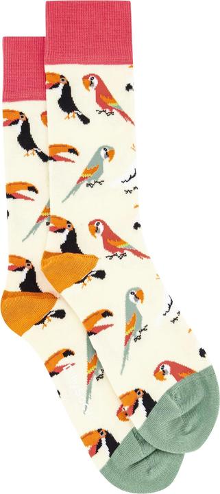 Produktbild DillySocks Sand Aviary (Einzelpack, 36 - 41)