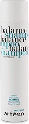 Immagine prodotto Artègo Balance Shampoo Easy Care T 250ml (250 ml, Shampoo liquido)