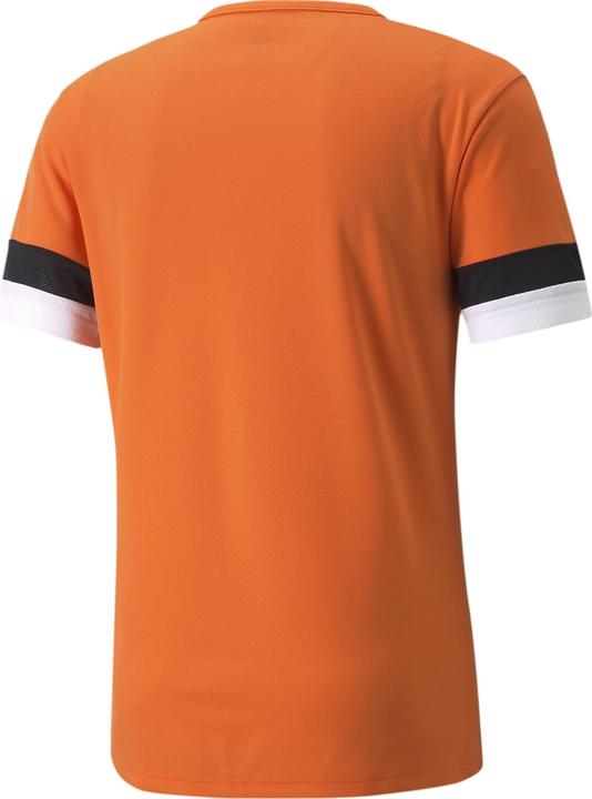 Image du produit Puma teamRISE Jersey-704932 (L)