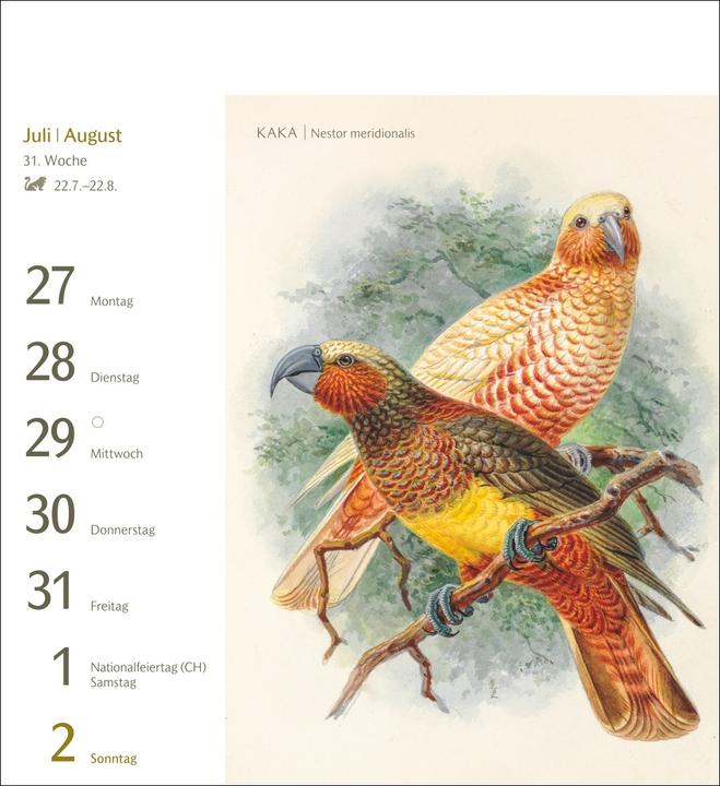 Produktbild Harenberg Vögel Postkartenkalender 2026 - Postkartenkalender mit 53 historischen Zeichnungen (Harter Einband, Deutsch)