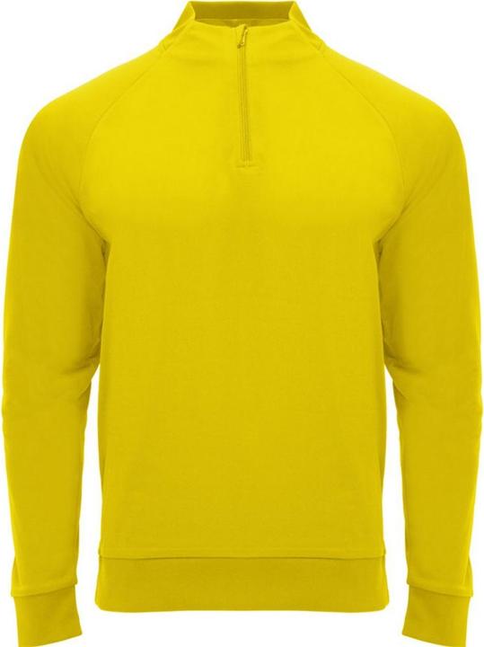 Alpinia Epiro Sweatshirt mit kurzem Reissverschluss Langärmlig