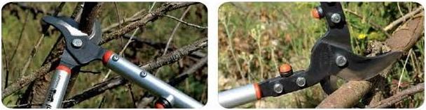 Produktbild Bahco Obstbaum-Astschere, P160-SL-90