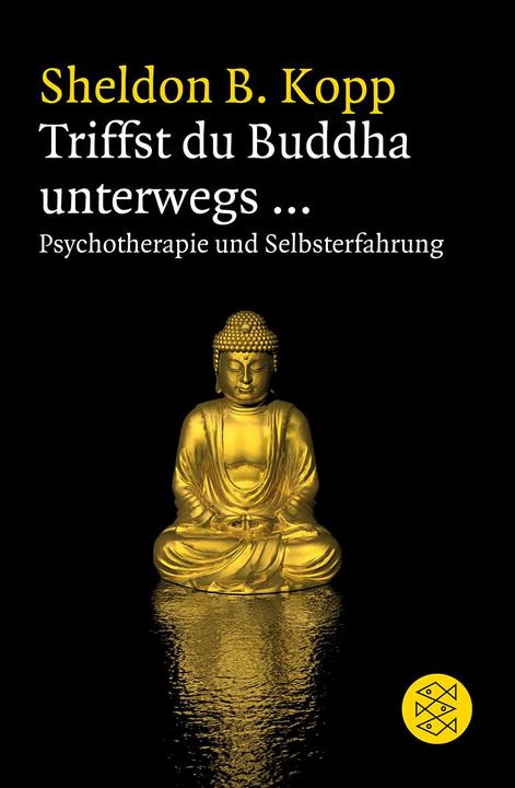 Immagine prodotto Incontrare Buddha sulla strada (Tedesco, Sheldon B. Kopp, 2011)