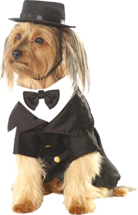 Actual product image Bristol Novelty Dapper Dog Costume (L, Dog costume)