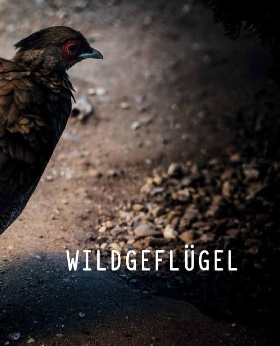Produktbild Schnelle Wildgerichte - Das Wild Kochbuch (Deutsch, Markus Bitzen, 2021)