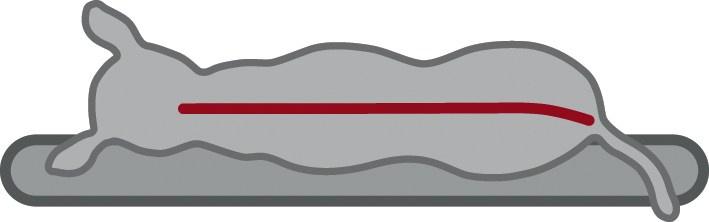 Produktbild Trixie Vital Kissen Bendson oval (Hund, Katze)