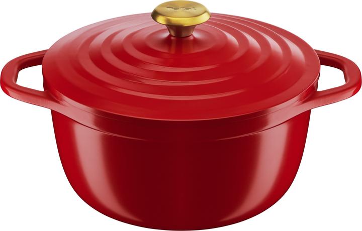 Productafbeelding Tefal E2544604 (24 cm, Steelpan, Gegoten aluminium)