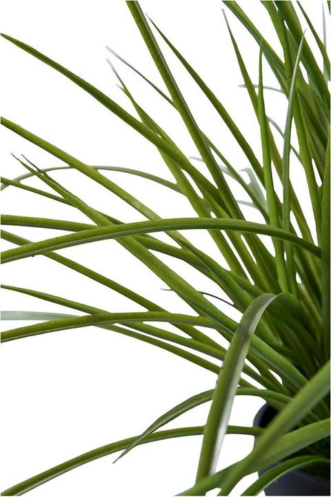 Actual product image House Nordic Grass (45 cm)
