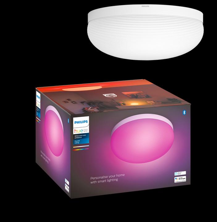 Actual product image Philips Hue Flourish Base BT (2400 lm)