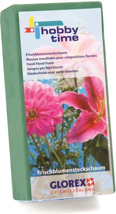 Image du produit Glorex Mousse pour compos.florales p. fleurs fraiches, 230x110x75mm