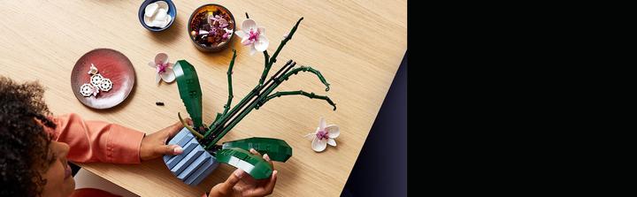 Produktbild LEGO Orchidee (10311, LEGO Botanical)