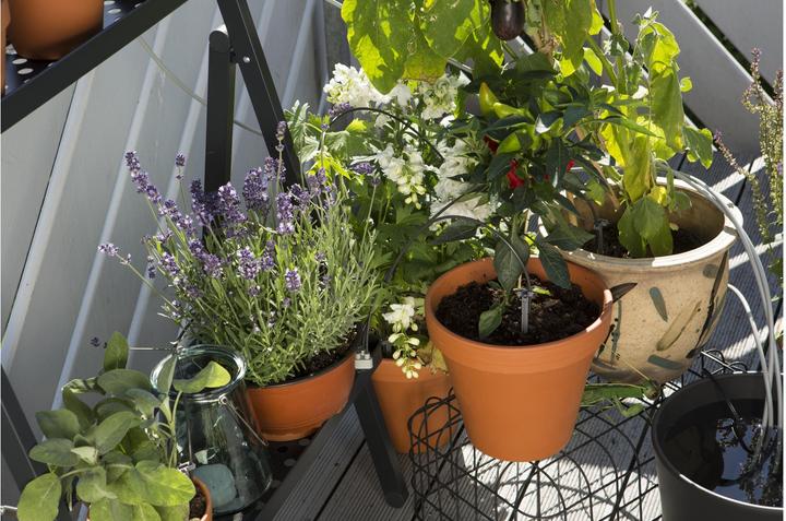Immagine prodotto Gardena Set da irrigazione per le vacanze (Set per l'irrigazione a goccia)