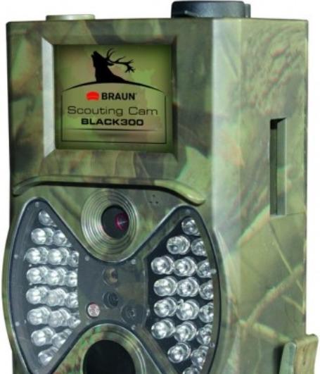 Braun Photo Black 300