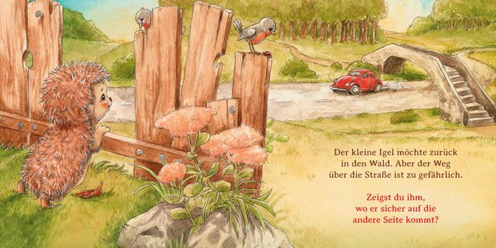Produktbild Schlaf schön, kleiner Igel (Mini-Ausgabe) (Deutsch, Sophie Schoenwald, 2021)