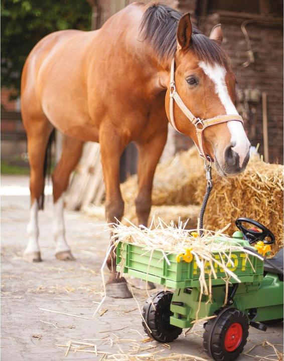 Actual product image BIG Fendt