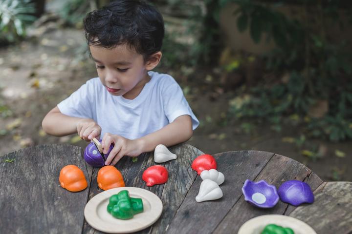 Immagine prodotto Plantoys Set di verdure a 5 colori