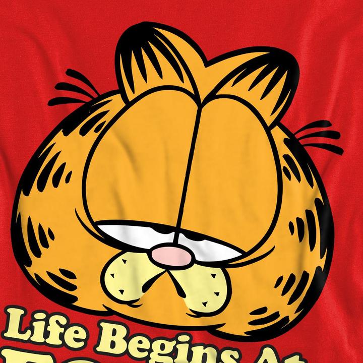 Actual product image Garfield Unisex Adult Life Begins At Forty Sweatshirt (M)