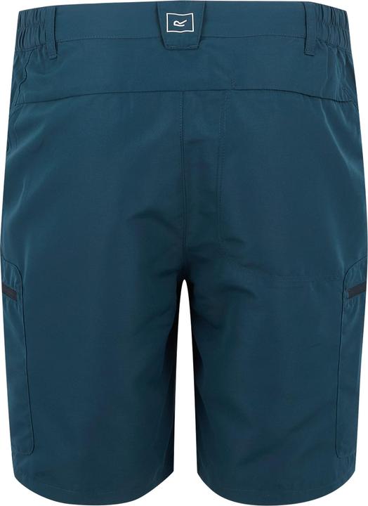 Actual product image Regatta Mens Leesville III Shorts (52 D)