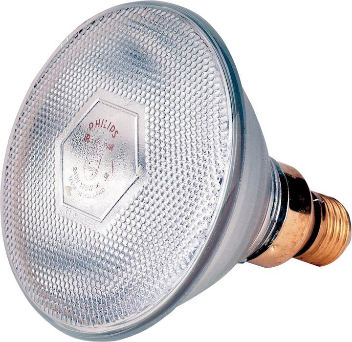 Philips Infra-saving lamp clear PAR38 (100 W)