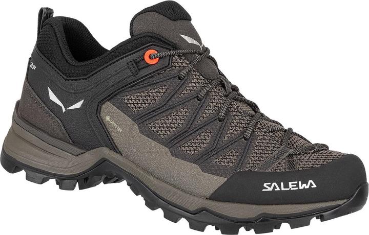 Image du produit Salewa Chaussures MTN Trainer Lite GTX (42)