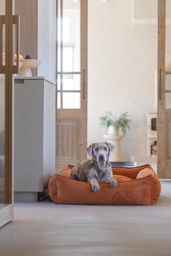 Actual product image Designed by Lotte Liegebett Ribbed (Dog)
