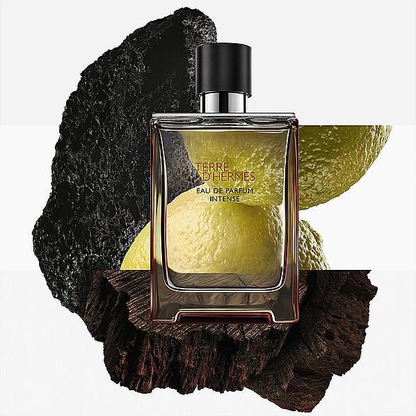 Image du produit Hermès Terre d'Hermes (Eau de parfum, 100 ml)