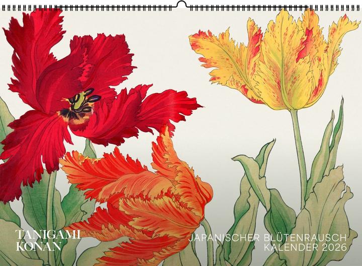 Produktbild Tanigami Konan. Wandkalender 2026 (30 x 42 cm, Deutsch)