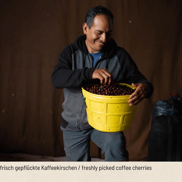 Actual product image Tropical Mountains Mafioso (1000 g, Dark roast)