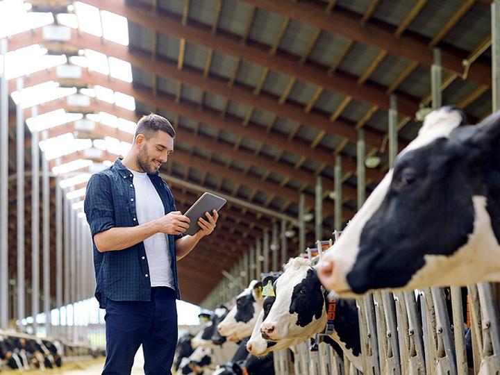 Produktbild Smartbox Origineller Geburtstag für Naturliebhaber mit 1 Übernachtung auf einem Bauernhof (2 Pers.)