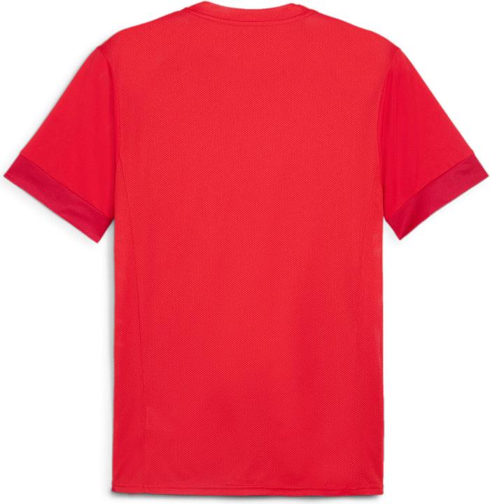 Actual product image Puma teamGOAL Matchday Jersey (L)