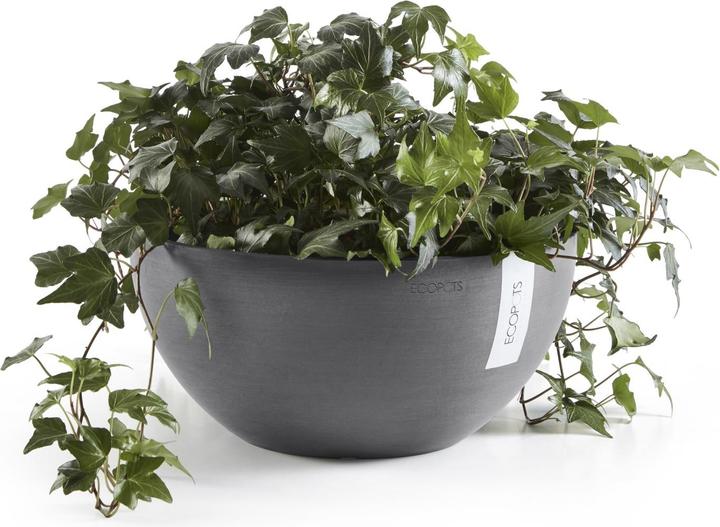 Actual product image Ecopots Brussels (25 cm)