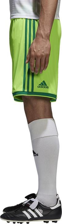 Produktbild adidas Regista 18 Short Herren (XL)