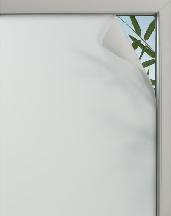 Gardinia Privacy (45 x 150 cm)