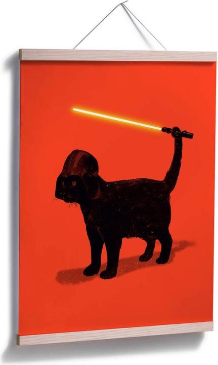 Image du produit Trenddeko Cat Vader (24 x 30 cm)