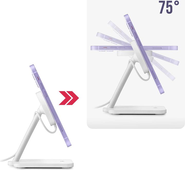 Image du produit TwelveSouth Forté (15 W)