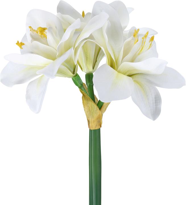 Actual product image EGLO LIVING Molave (63 cm)
