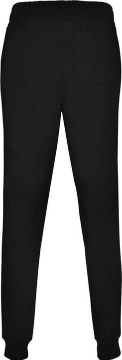 Actual product image Alpinia Mens Adelpho Trousers (XL)