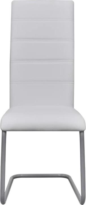 Actual product image VidaXL Dino