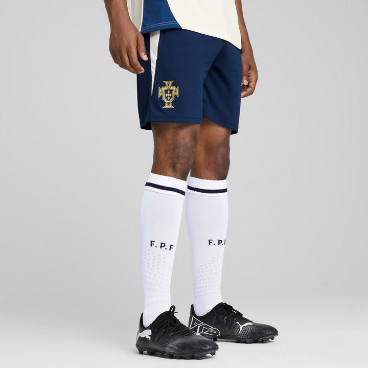 Image du produit Puma Short d'entraînement FPF (M)